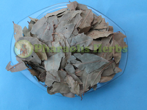 Pharaohs Herbs